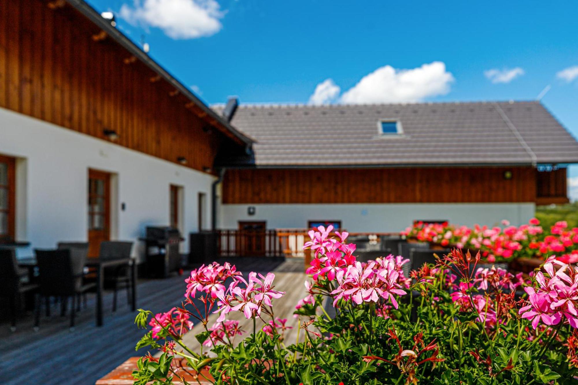 Penzion Stříbrník Krasna (Moravia-Silesia) Exterior foto